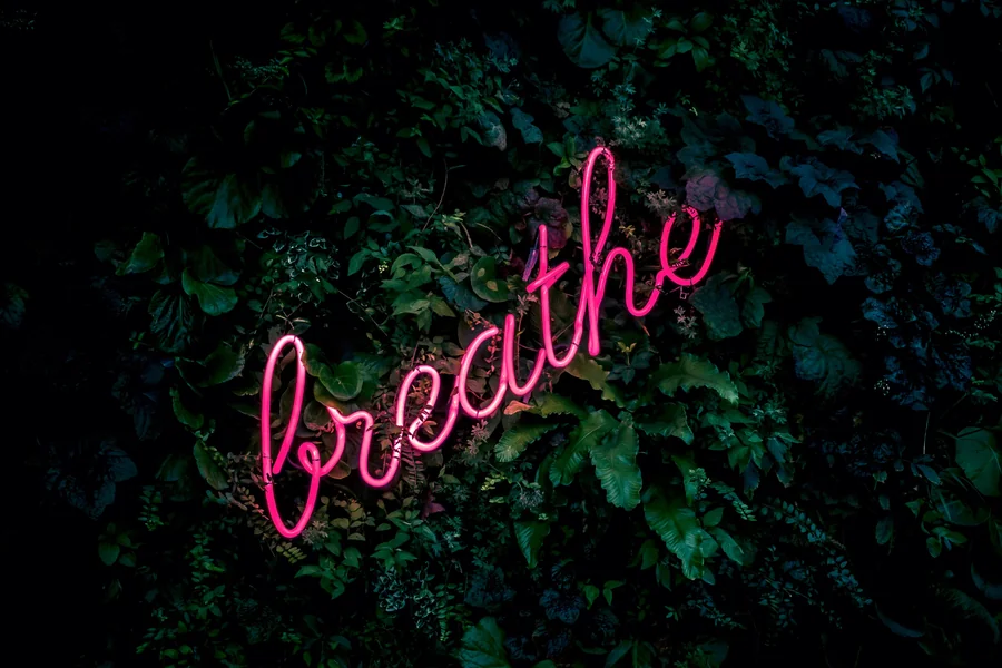 Aesthetic Quotes